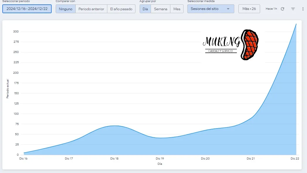 Caso e-commerce con ventas gracias a SEO tecnico